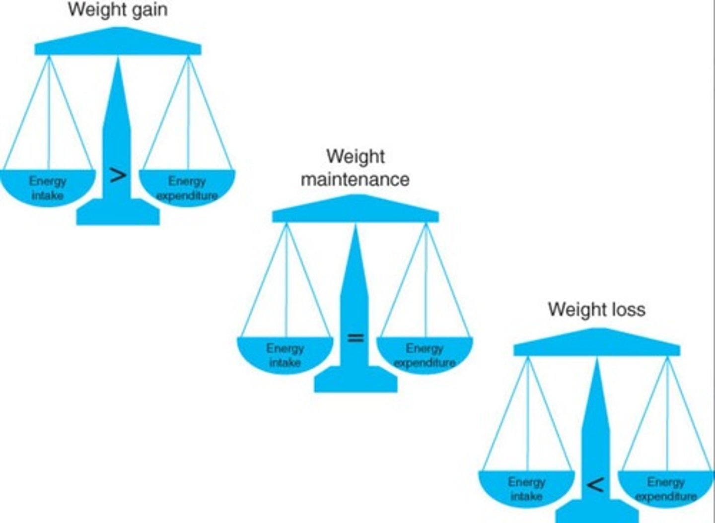<p>It states that energy cannot be created or destroyed, but the complex physiology of food intake and calorie expenditure complicates this.</p>