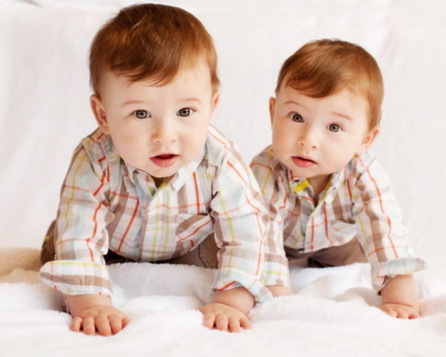 <p>twin</p>