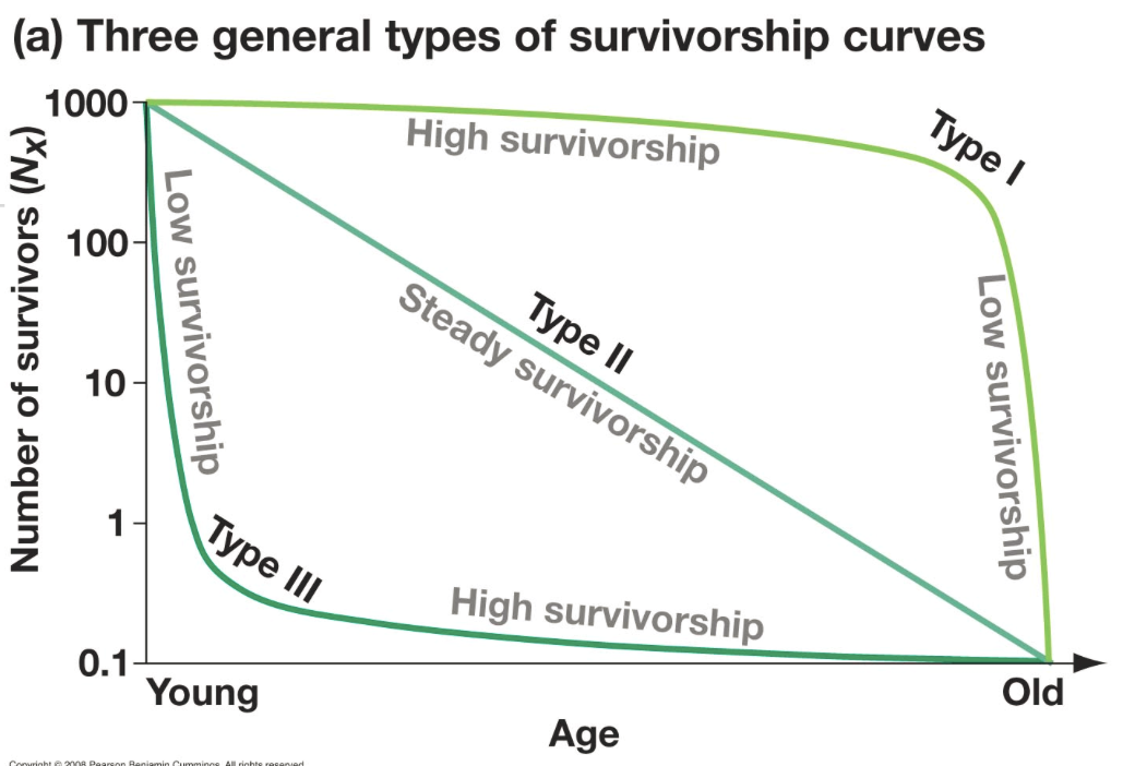 <p>Graph</p>