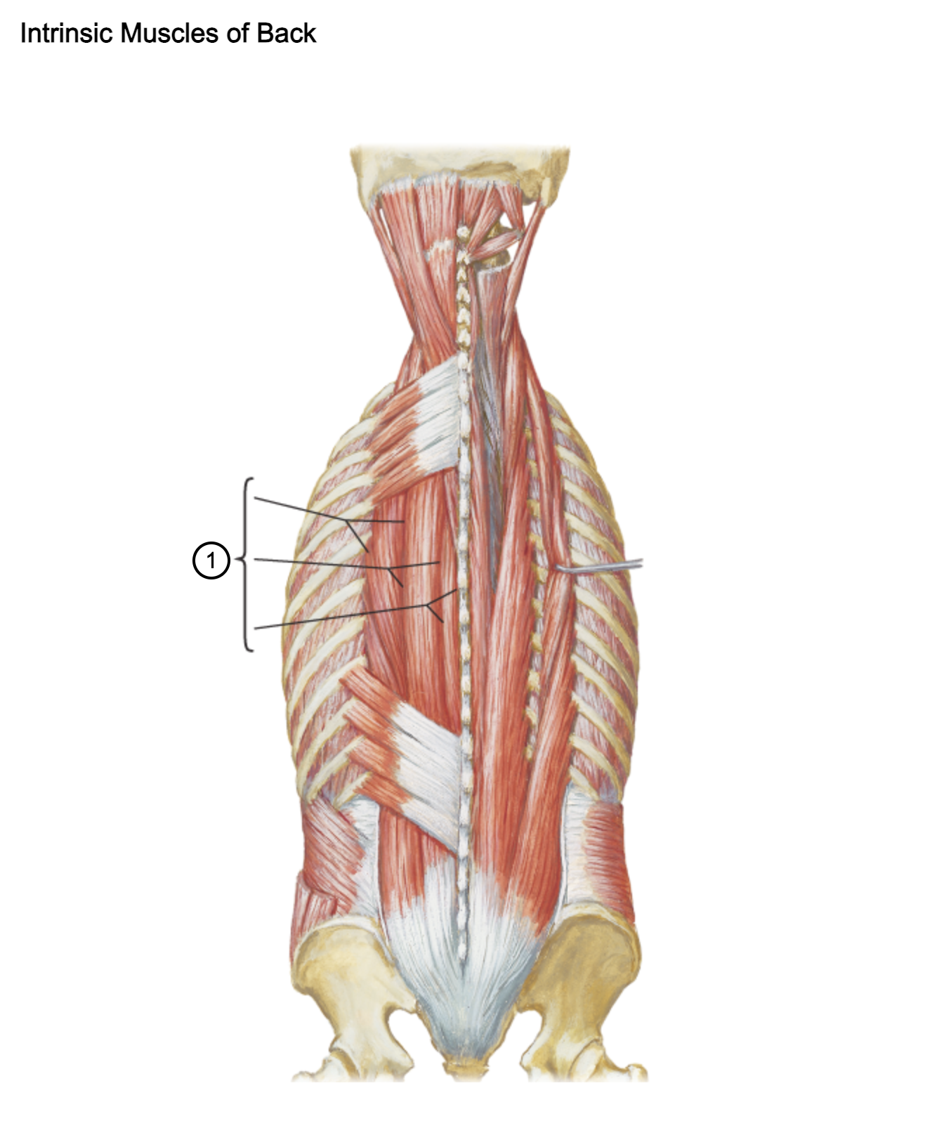<p>1</p>