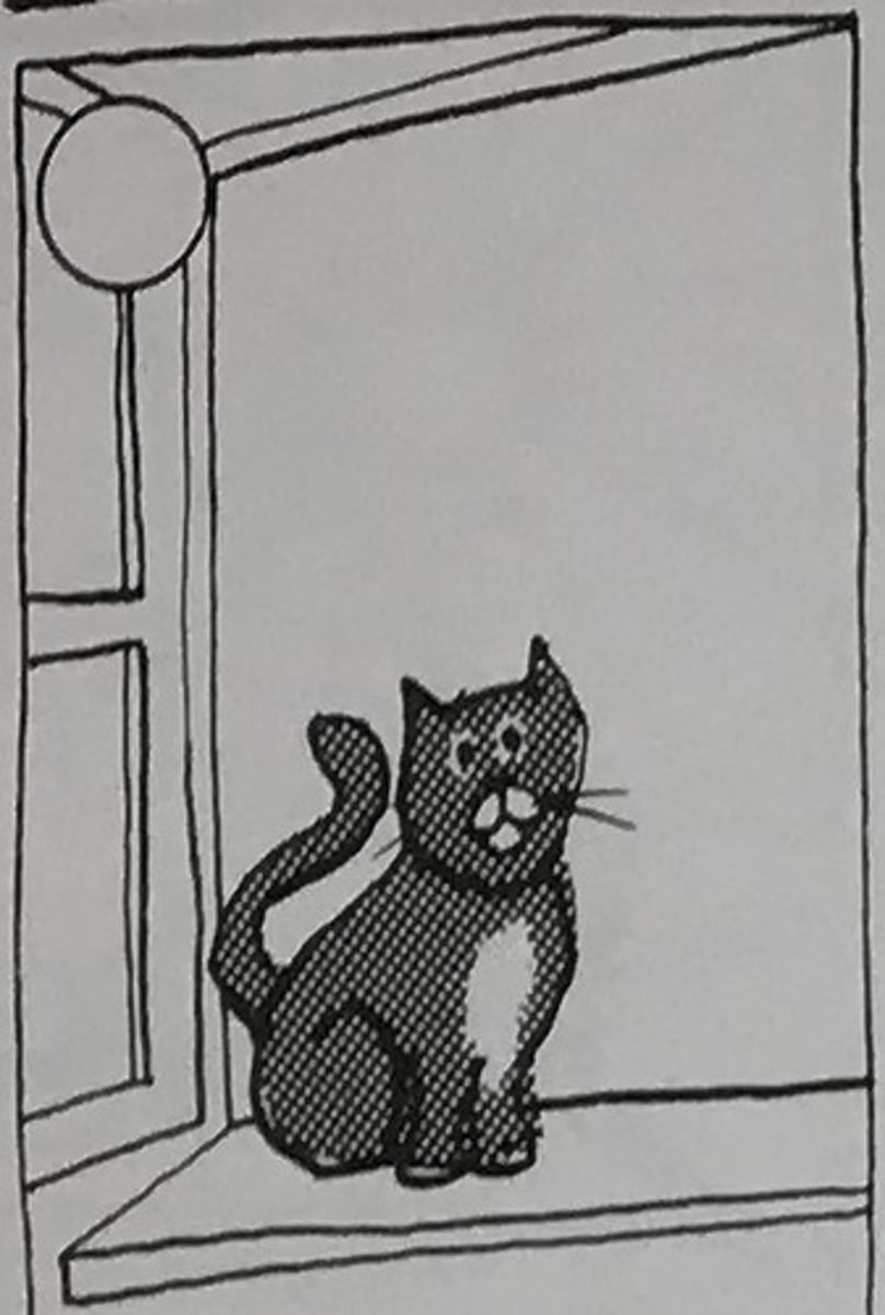 <p>The cat escaped through the window.</p>