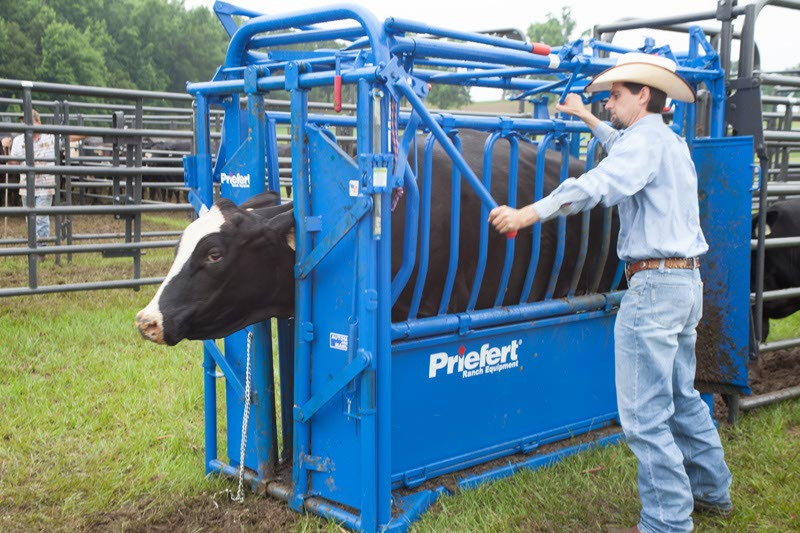 <p>Squeeze Chute: </p>