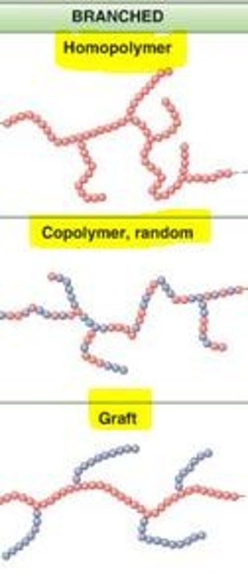 <p>a polymer having a molecular structure of secondary chains that extend from the primary main chains</p>