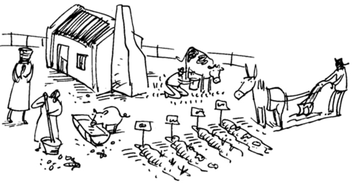 <p>Farming for self-sufficiency to grow enough for a family</p>