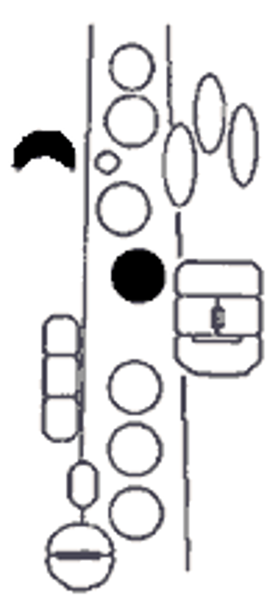knowt flashcard image