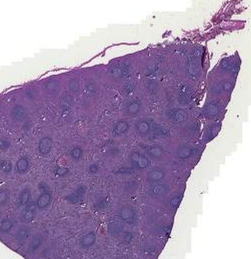 <p>What is this?</p>