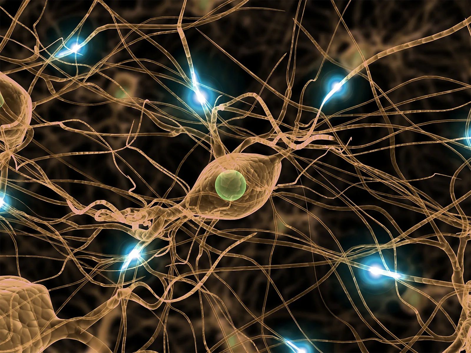 <p>Bundle of axons in the body that travel together through the body.</p>