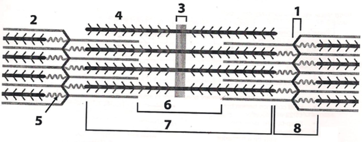 <p>What is 1?</p>