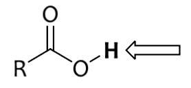 <p>Carboxylic acids</p>