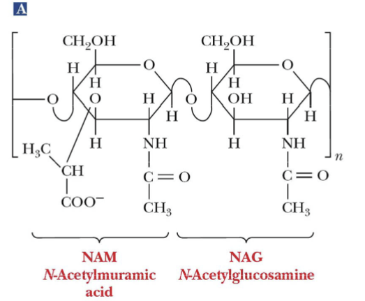 <p>NAG</p>