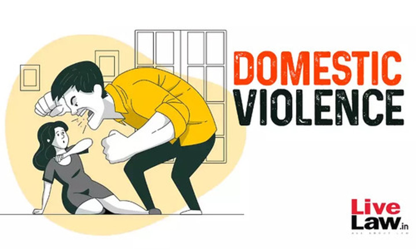 <p>bạo lực gia đình</p>