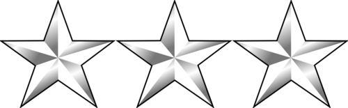 <p>Lieutenant General (3 stars)</p>