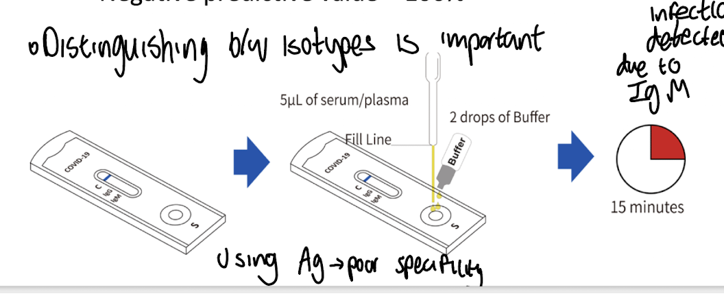 <p><strong>By using antibodies that bind to SARS-CoV-2 nucleoprotein antigen.</strong></p>