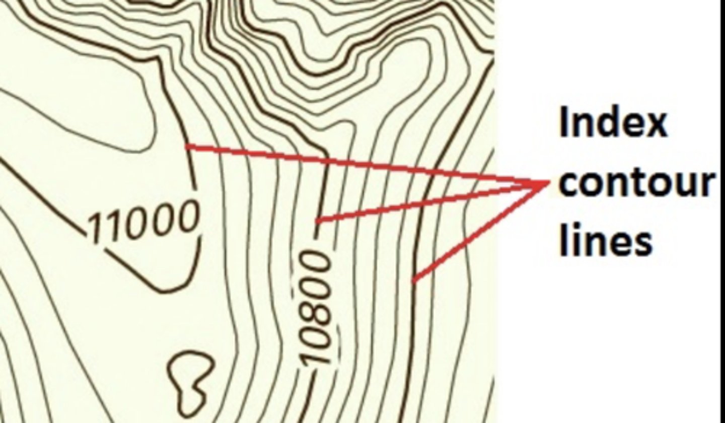 <p>Every 5th line, thicker, labeled elevation</p>