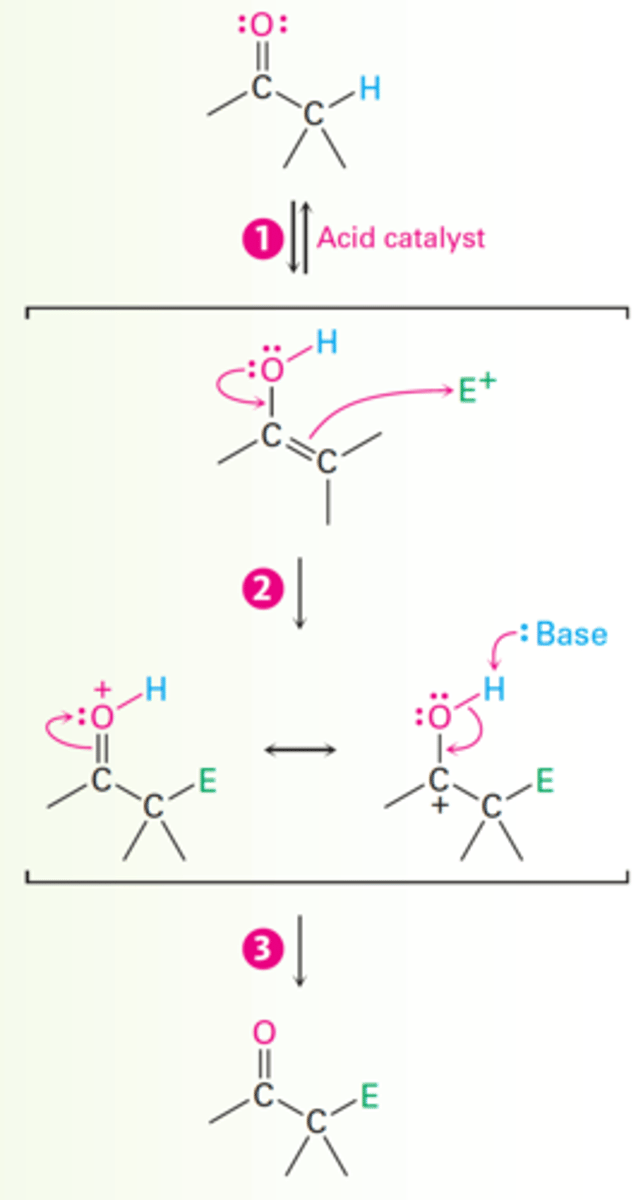 <p>α-substitution reaction mechanism</p>