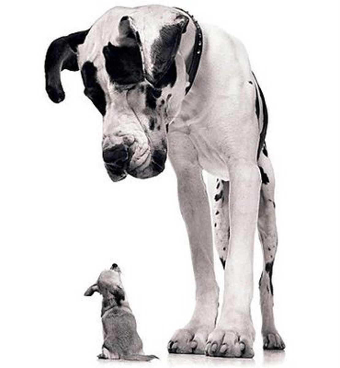 <p>/maɪˈnjuːt/ (adj) Rất nhỏ, li ti (Khác với minute - phút)</p>