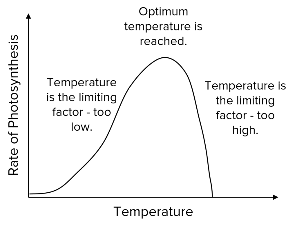 <p>rate of photosynthesis <span style="font-family: Proxima-Nova, sans-serif">up to a certain temperature because the enzymes will have more </span><strong><span style="font-family: Proxima-Nova, sans-serif">kinetic energy</span></strong><span style="font-family: Proxima-Nova, sans-serif"> and are therefore more likely to successfully collide with the </span><strong><span>substrate</span></strong><span style="font-family: Proxima-Nova, sans-serif">. </span></p>