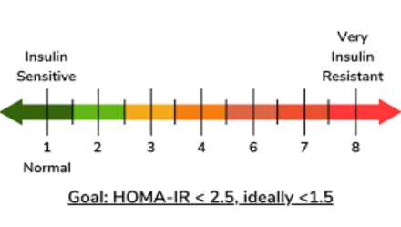 <p>HOMA 1-IR measures both fasting blood glucose and fasting insulin, measuring insulin resistance. Cheap and reliable as well as measuring beta-cell and insulin resistance but requires fasting</p>