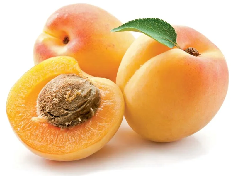 <p>apricot</p>
