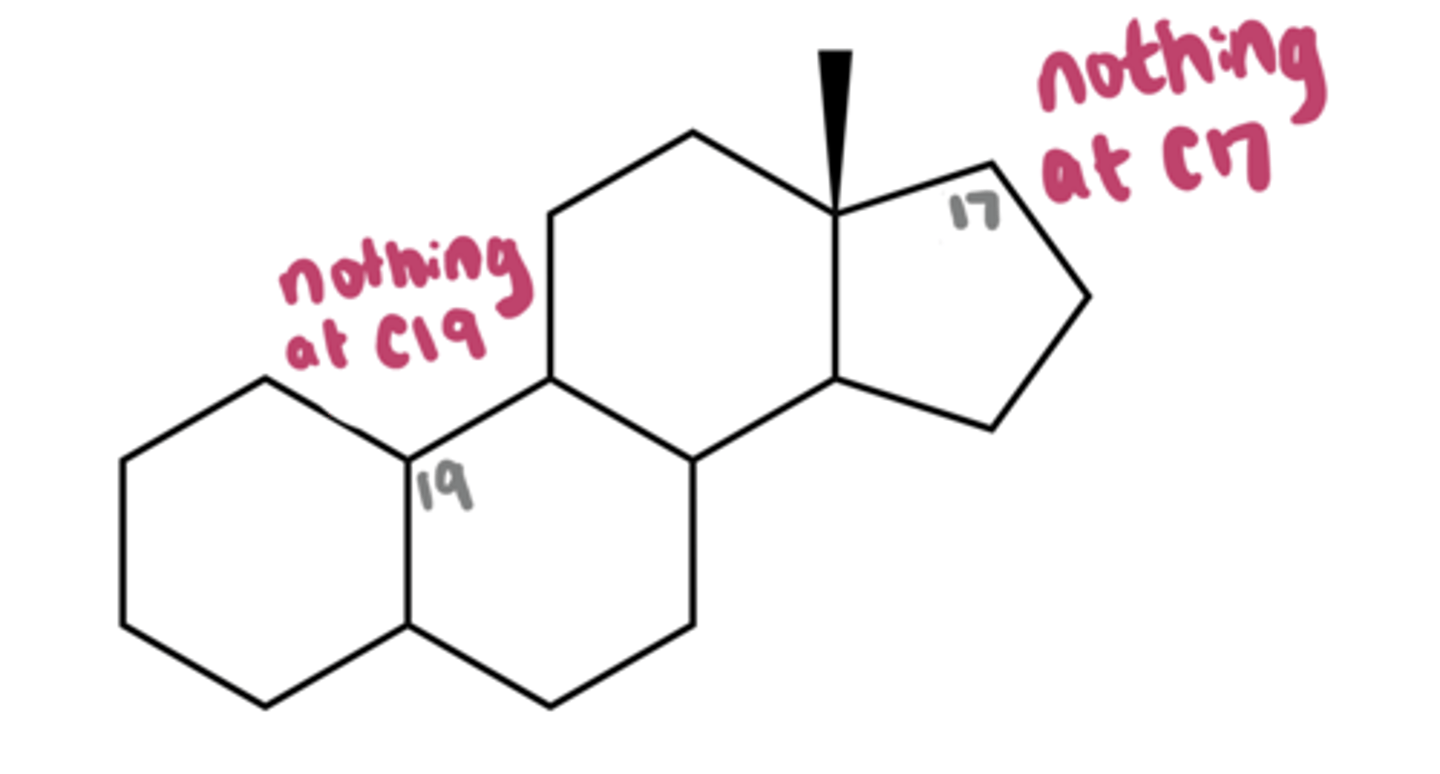 <p>What steroid nucleus is this?</p>