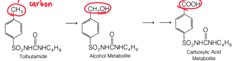 <ul><li><p>Directly attached to the ring</p></li><li><p>Susceptible to Oxidation</p></li></ul><p></p>