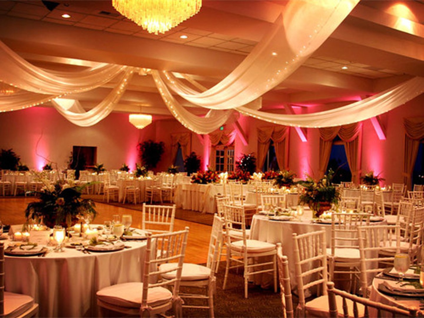 <p>special occasion</p>