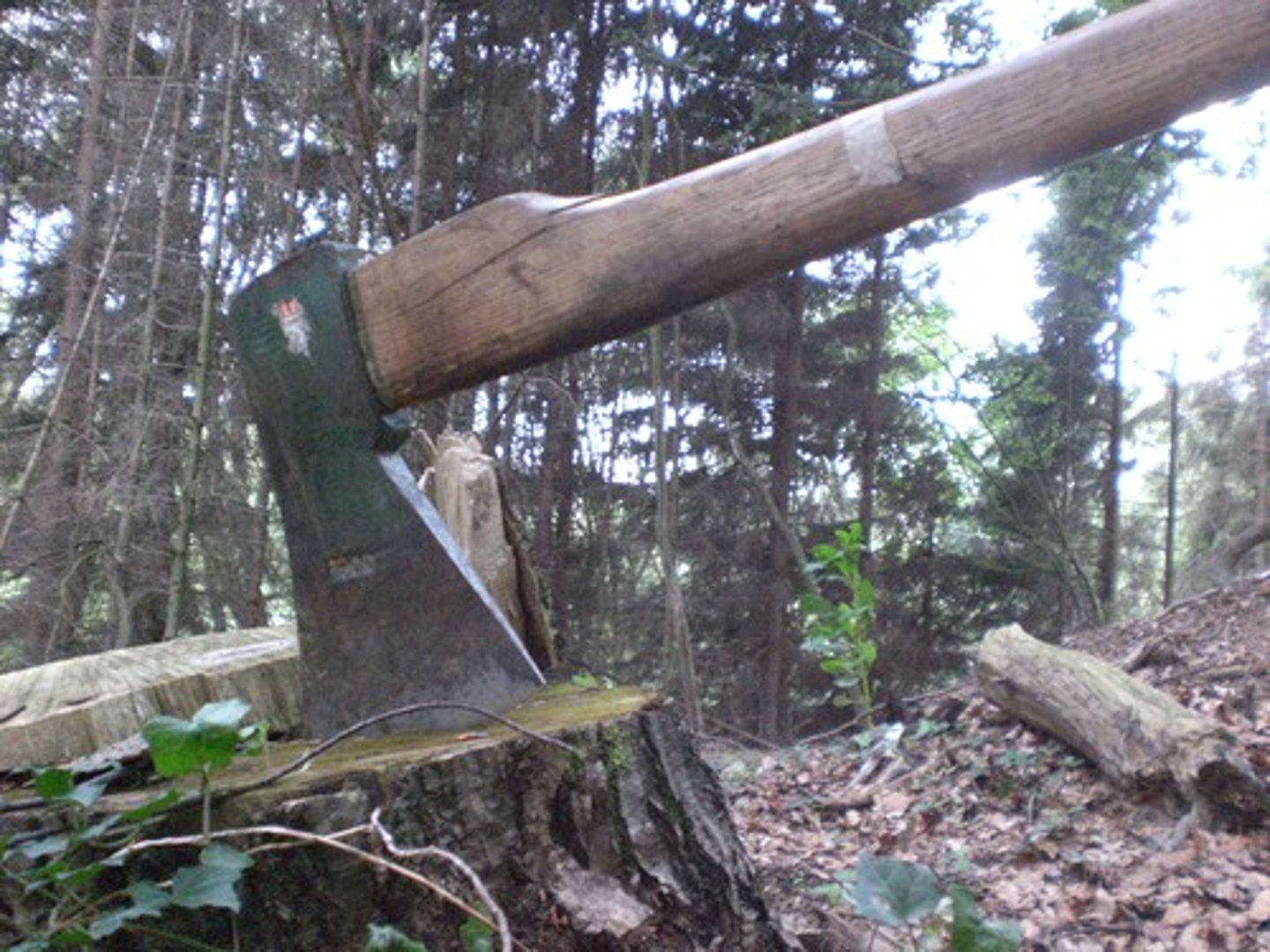 <p>to suddenly remove someone's job or stop something : cắt bỏ, sa thải</p>