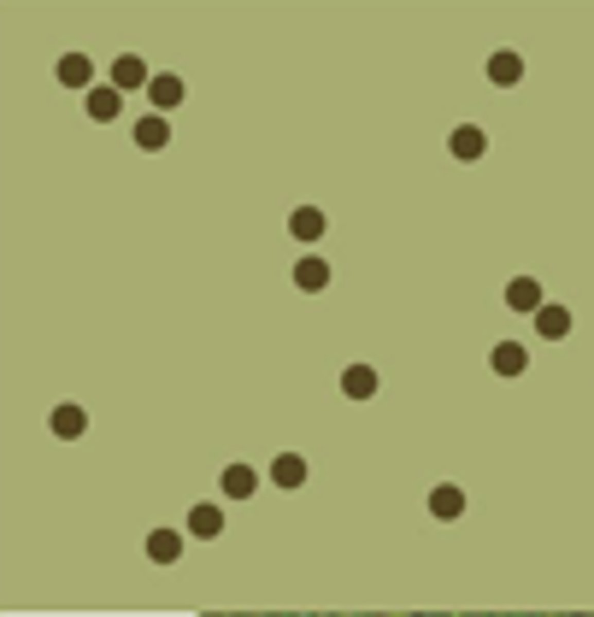 <p>randomly arranged</p>