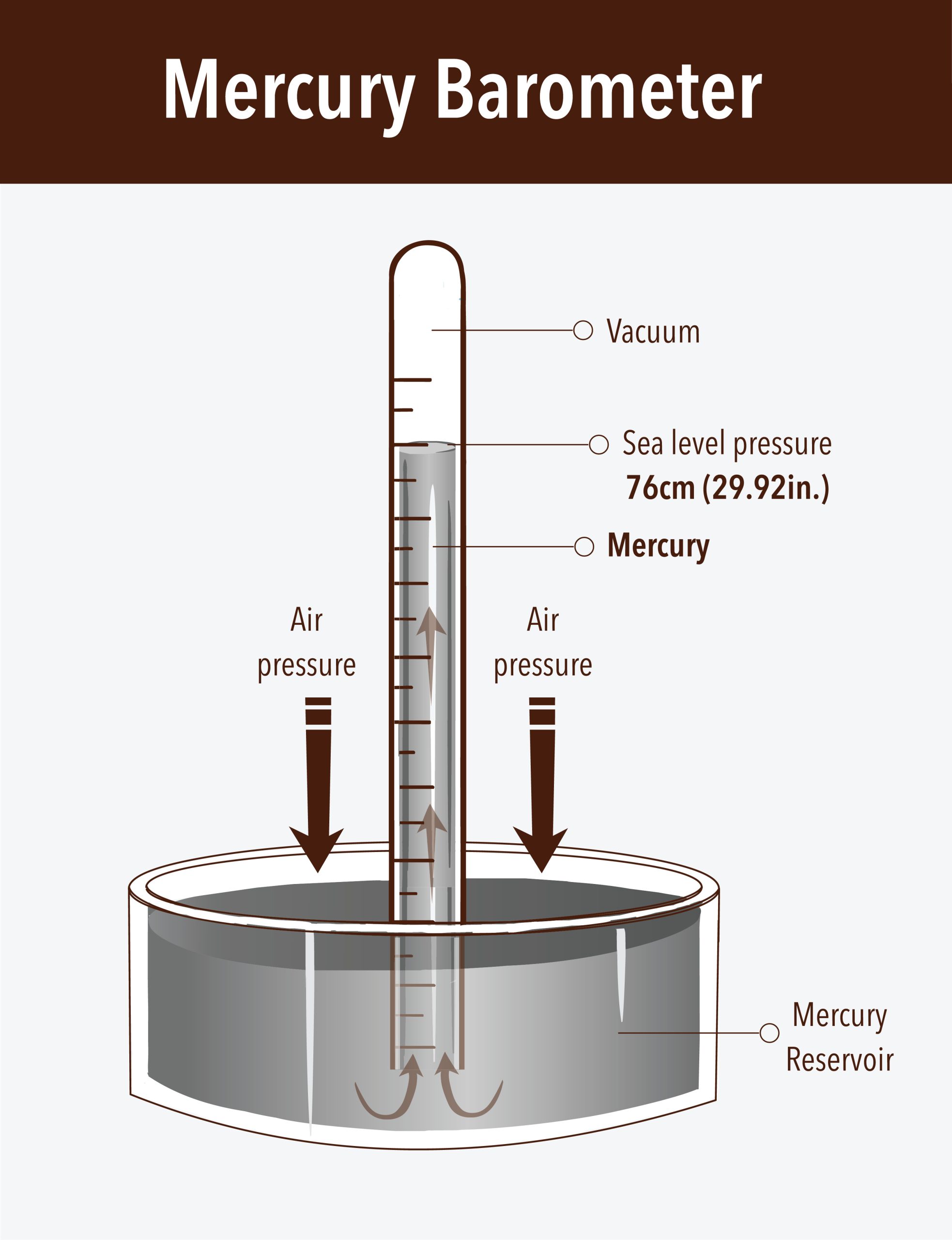 <p>-used to measure atmospheric pressure</p><p>-mercury flows out of the tube until the pressure of the column of mercury standing on the surface of the mercury is equal to the pressure of the air of the rest of the surface of mercury</p><p>(Honestly just look at the picture to understand)</p>