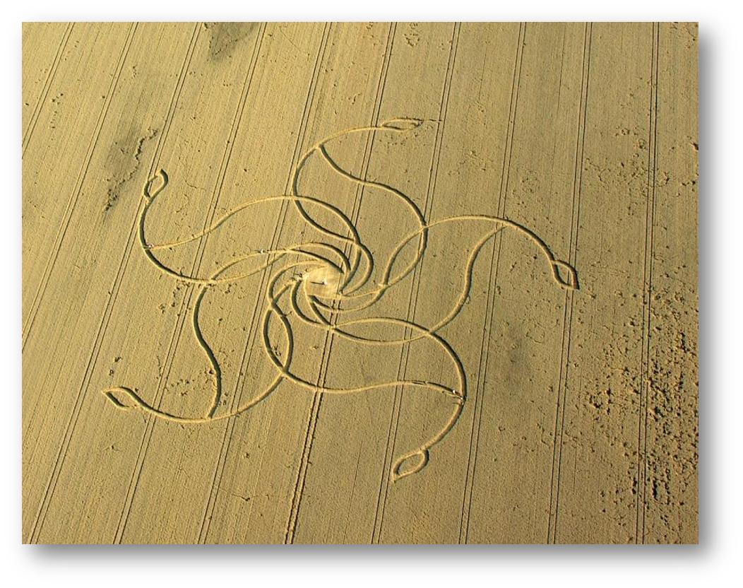 <p>Neolithic crop circle in Diessenhofen, Germany 2008</p>