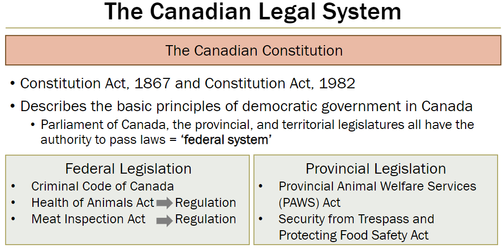 <p><strong>The Canadian Constitution</strong><br> Constitution Act, 1867 and Constitution Act, 1982<br> Describes basic principles of democratic government in Canada<br> Parliament of Canada and provincial/territorial legislatures have authority to pass laws – “federal system”</p><p><strong>Federal Legislation</strong><br> Criminal Code of Canada<br> Health of Animals Act Regulation<br> Meat Inspection Act Regulation</p><p><strong>Provincial Legislation</strong><br> Provincial Animal Welfare Services (PAWS) Act<br> Security from Trespass and Protecting Food Safety Act</p>