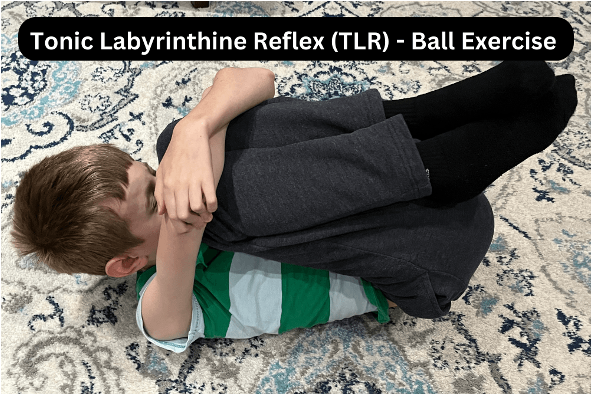 <p>Anti-gravity Movement Exercises</p><p>Prone Extension</p><p>Supine Flexion</p><p>Landau reflex</p><p></p>