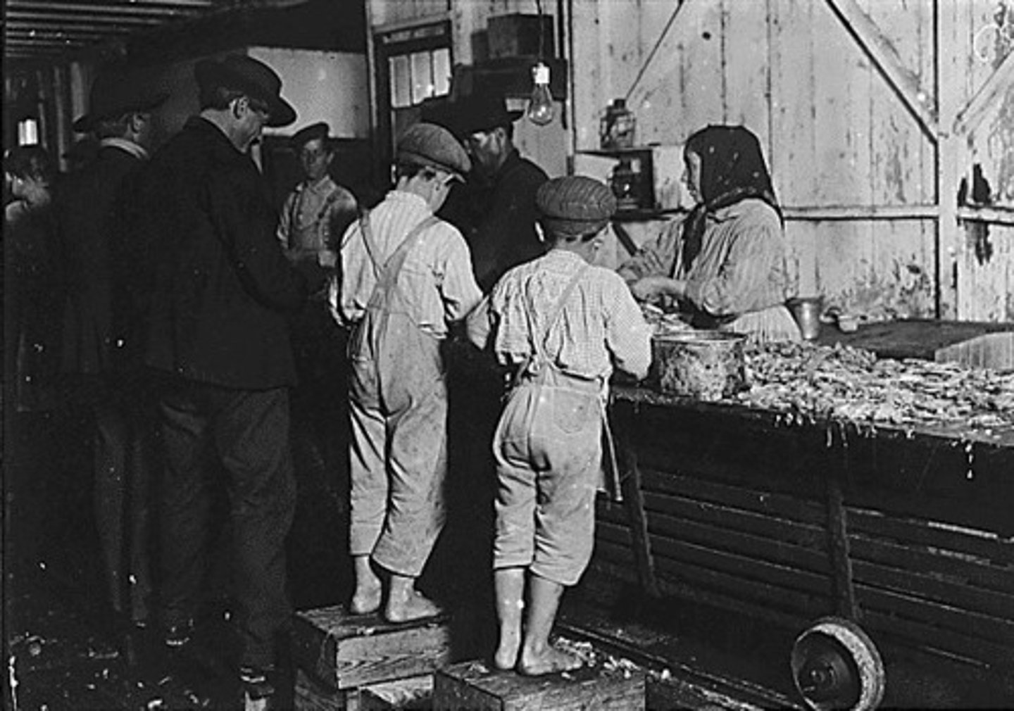 <p>A report on child labor conditions that led to new laws against child labor because of bad working conditions.</p>