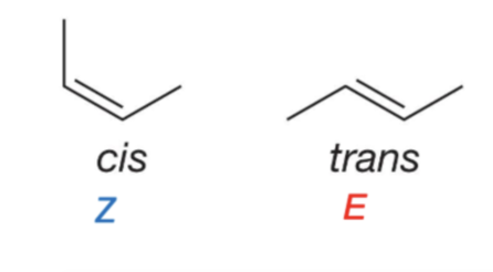 <ul><li><p>cis is more of a hexagonal shape</p></li><li><p>trans is like a squiggle</p></li></ul><p></p>