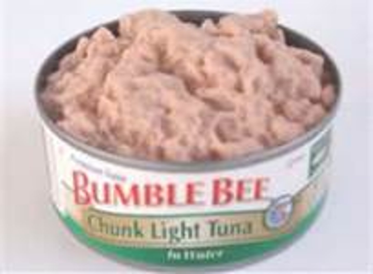 <p>a can of tuna</p>