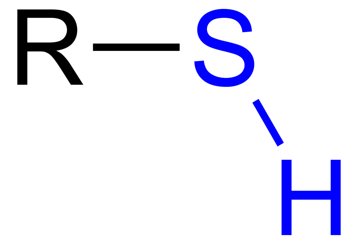 <p>-Also referred to as a thiol group</p><p>-Compounds are thiols</p><p>-stabilizes some proteins, so sometimes found in amino acids</p><p>-smells really bad</p>