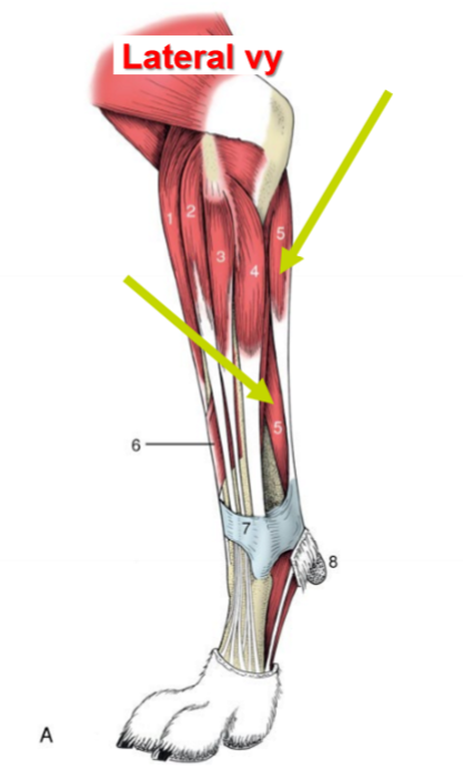 <p>O, I, F<br>2 delar, O för varje<br>“Del: O: x”</p>