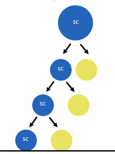 <p>An undifferentiated cell which has the ability to self-renew and to give rise to differentiated cells.</p><ul><li><p>asymmetric division</p></li><li><p>A Stem cell maintains the ability to self-</p><p>renew over many divisions</p></li><li><p>daughter cells have different fates</p></li><li><p>Stem cells maintain tissue homeostasis</p></li></ul>