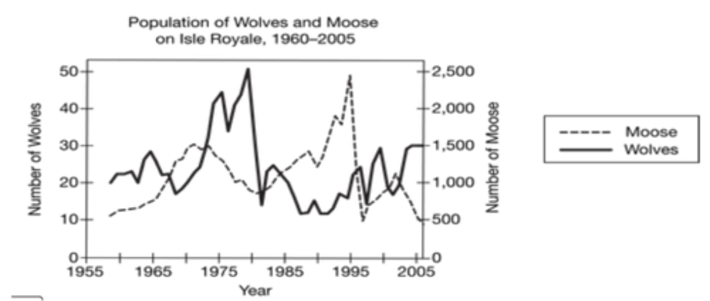 <p>Between 1975 and 1985, what happened to the wolf population?</p>