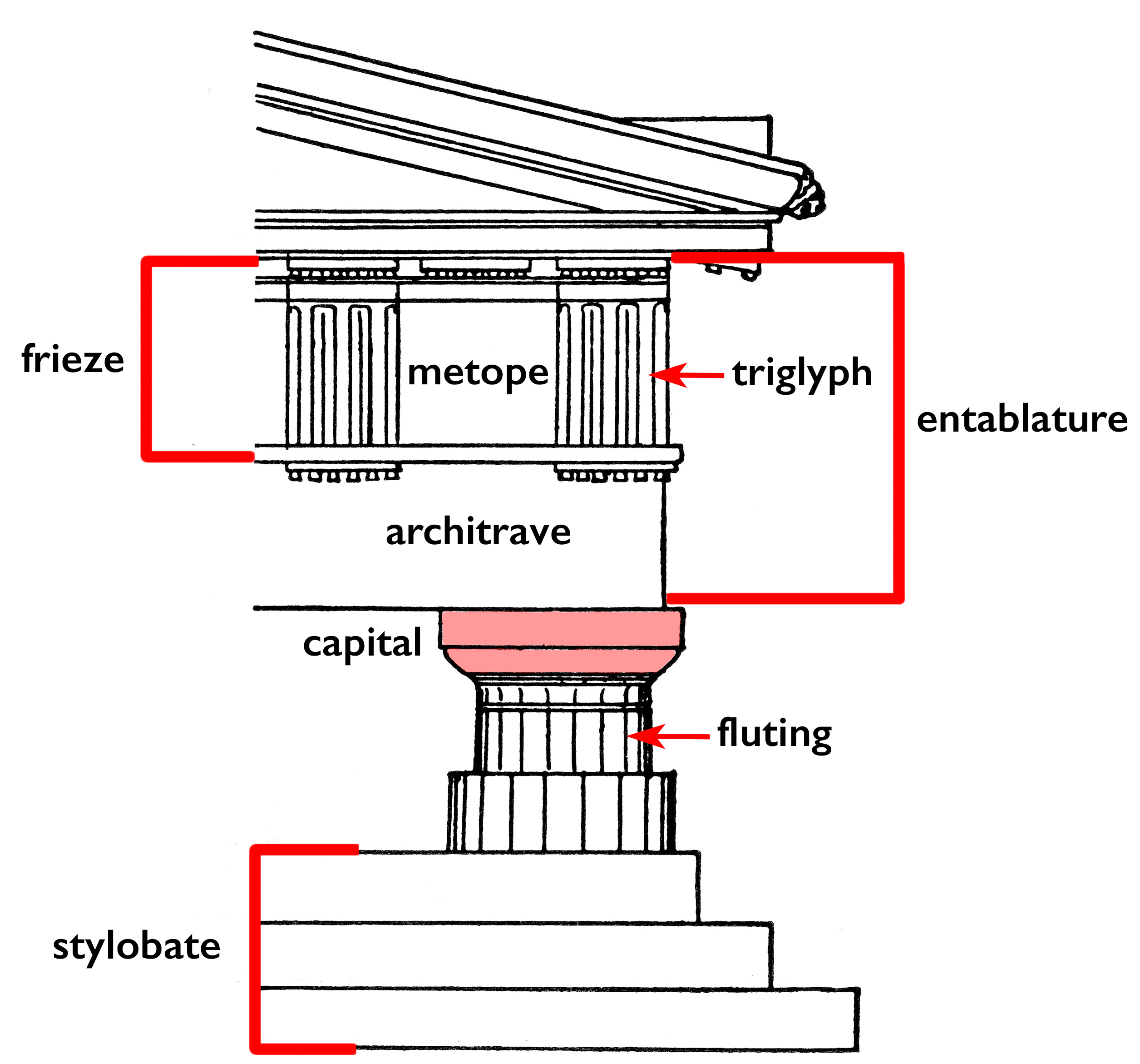 <p>one of the orders of classical architecture, characterized by a simple and austere column and capital.</p>