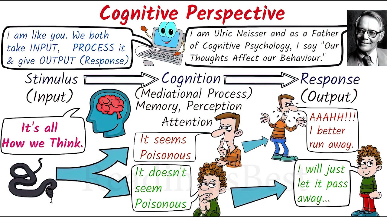 <p>How people think, perceive, and behave</p><ul><li><p><span style="font-size: calc(var(--scale-factor)*24.02px)">Thought, perception &amp;</span><span><br></span><span style="font-size: calc(var(--scale-factor)*24.05px)">information processing</span></p></li><li><p><span style="font-size: calc(var(--scale-factor)*24.05px)">Computer model- gather,</span><span><br></span><span style="font-size: calc(var(--scale-factor)*24.02px)">encode, store</span></p></li></ul><p><a target="_blank" rel="noopener noreferrer nofollow" class="link" href="https://i.ytimg.com/vi/oMB4CXTcwxM/maxresdefault.jpg" download="true">https://i.ytimg.com/vi/oMB4CXTcwxM/maxresdefault.jpg</a></p>