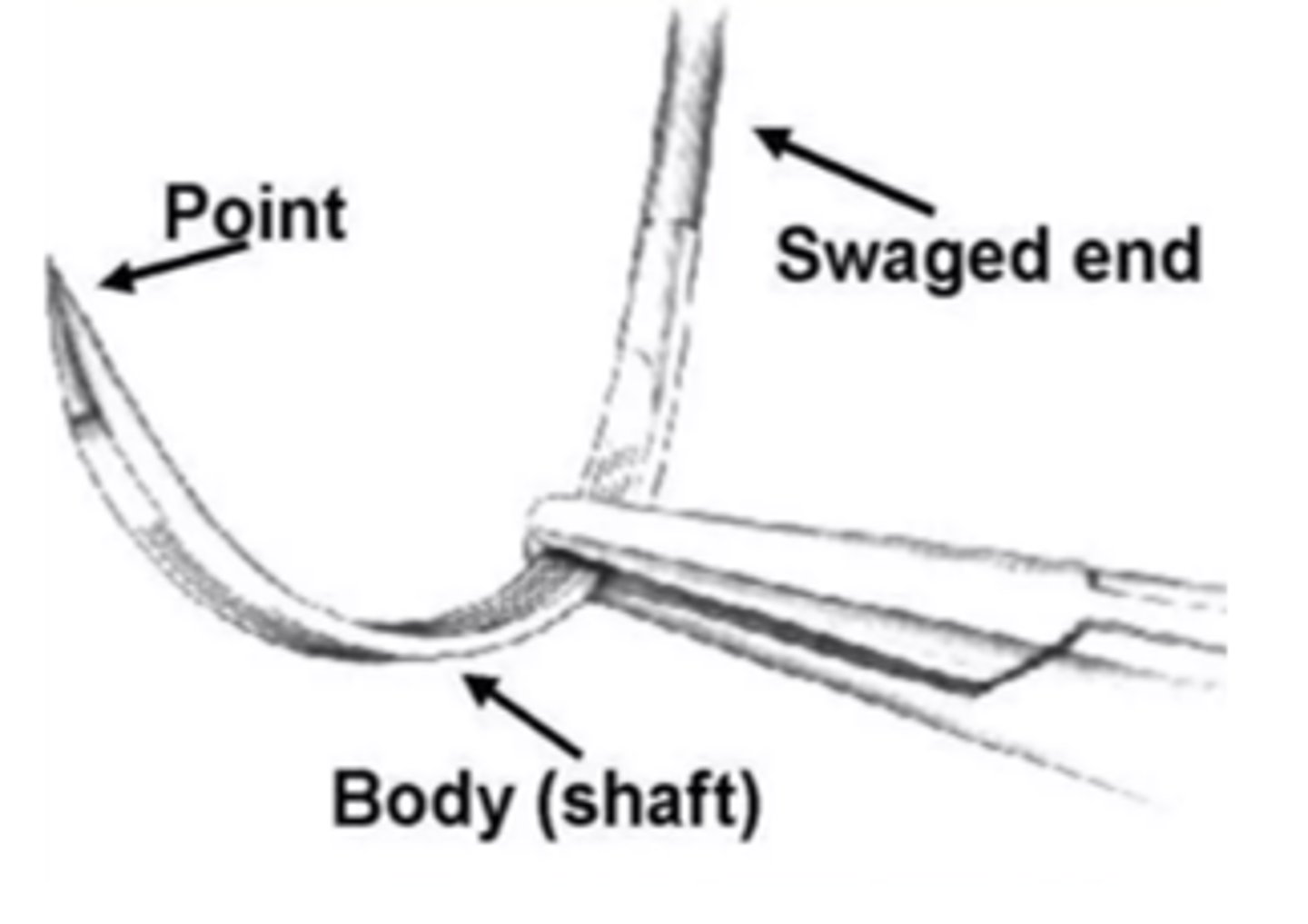 <p>Reverse cutting needle</p>