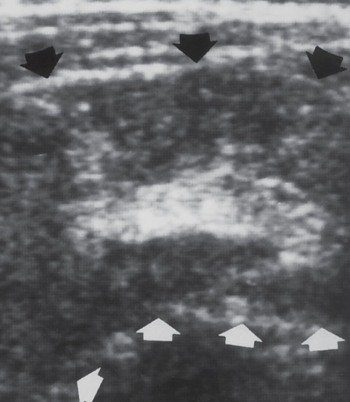 <p>what is shown?</p>