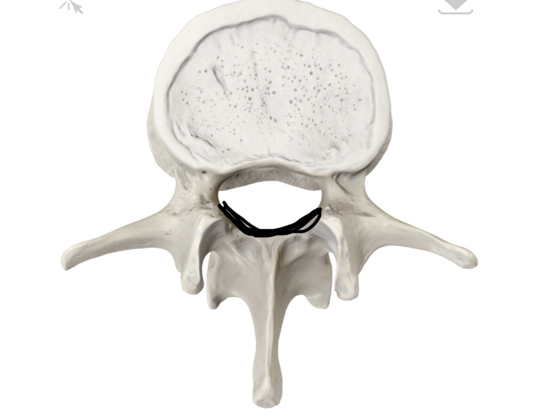 <p>Hoe heet dit deel?</p>