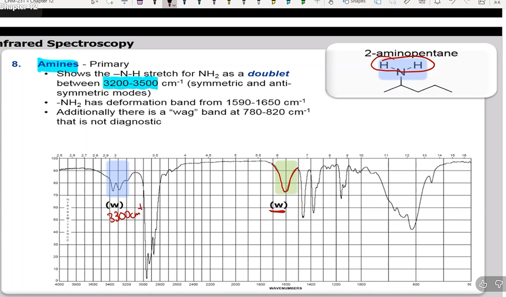 <p>N-H stretch for NH2, looks like a cowlick (2 little peaks)</p><p>3200 to 3500 cm-1</p><p>R1NH2</p>