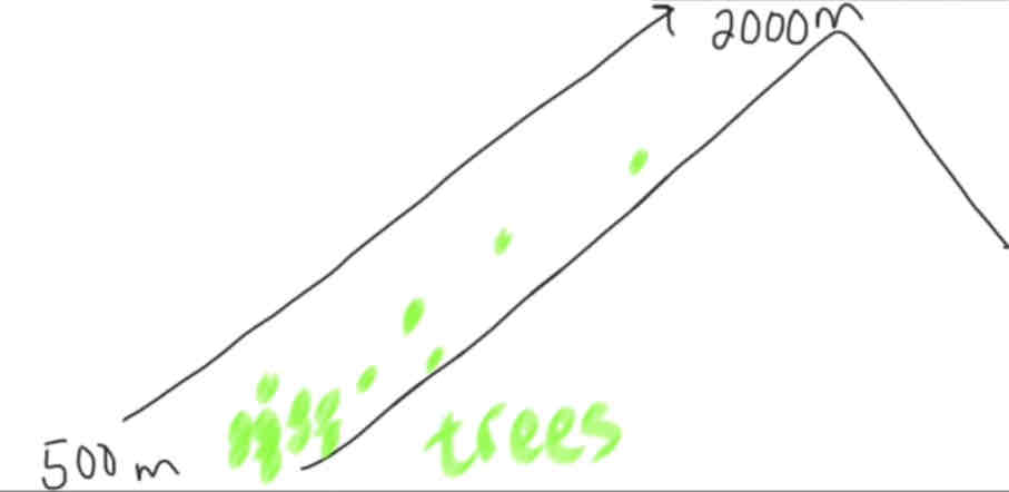 <p>Line that spawns several different levels of specific variable </p><p>Ex: Mountain —&gt; different altitudes determine where species are able to live </p>