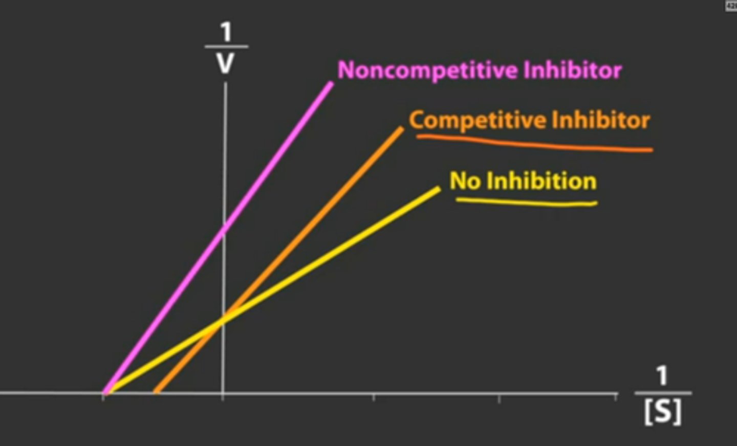 <p>A type of inhibition where an inhibitor binds to an allosteric site, reducing the enzyme's activity regardless of substrate concentration.</p>