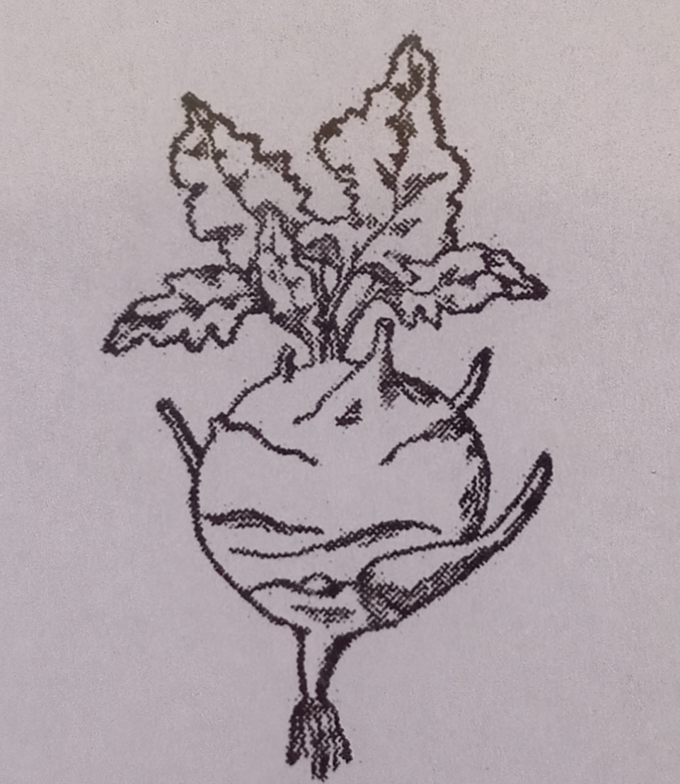 term image