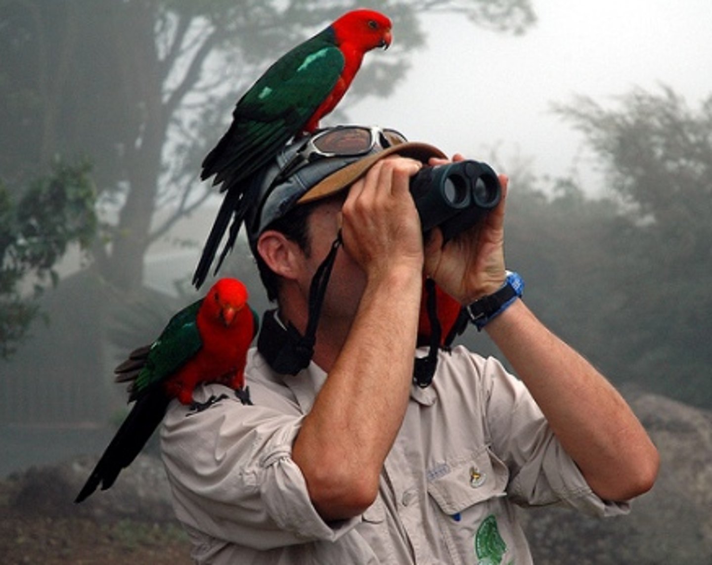 <p>to see something for a short time.</p>