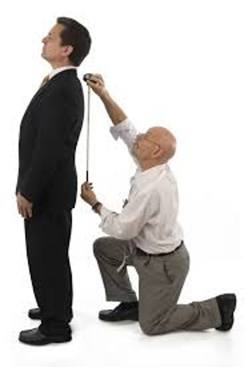<p>điều chỉnh cho phù hợp (We can tailor the program to fit your needs.)</p>